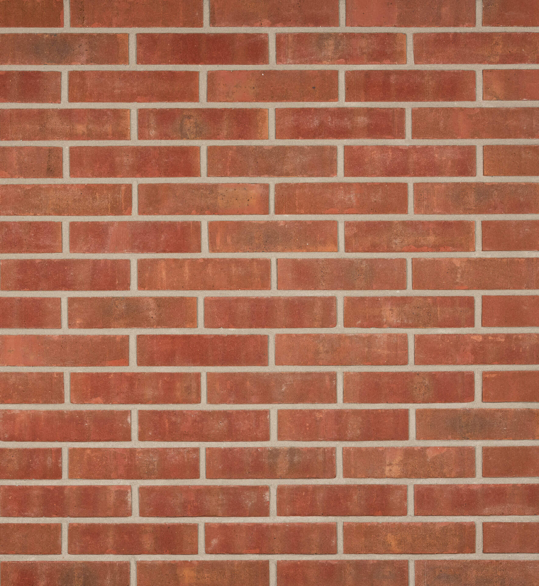 Kolen Gronings Boszand