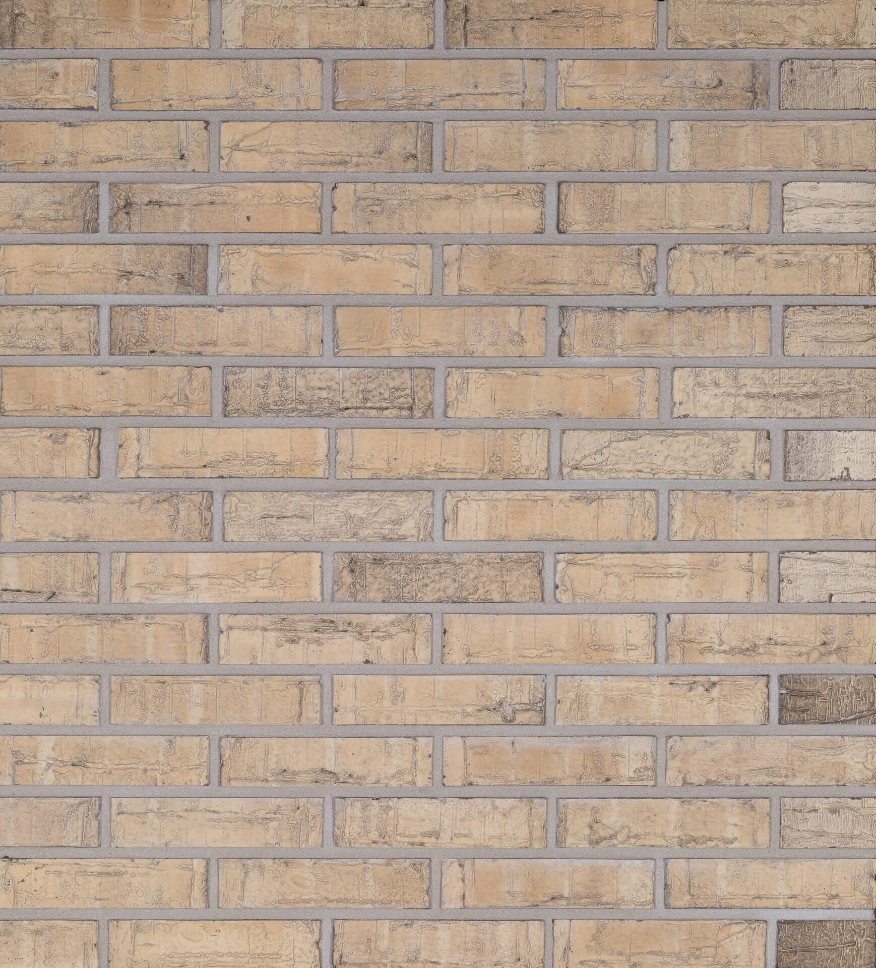 WF VTS Boterbloem Flash