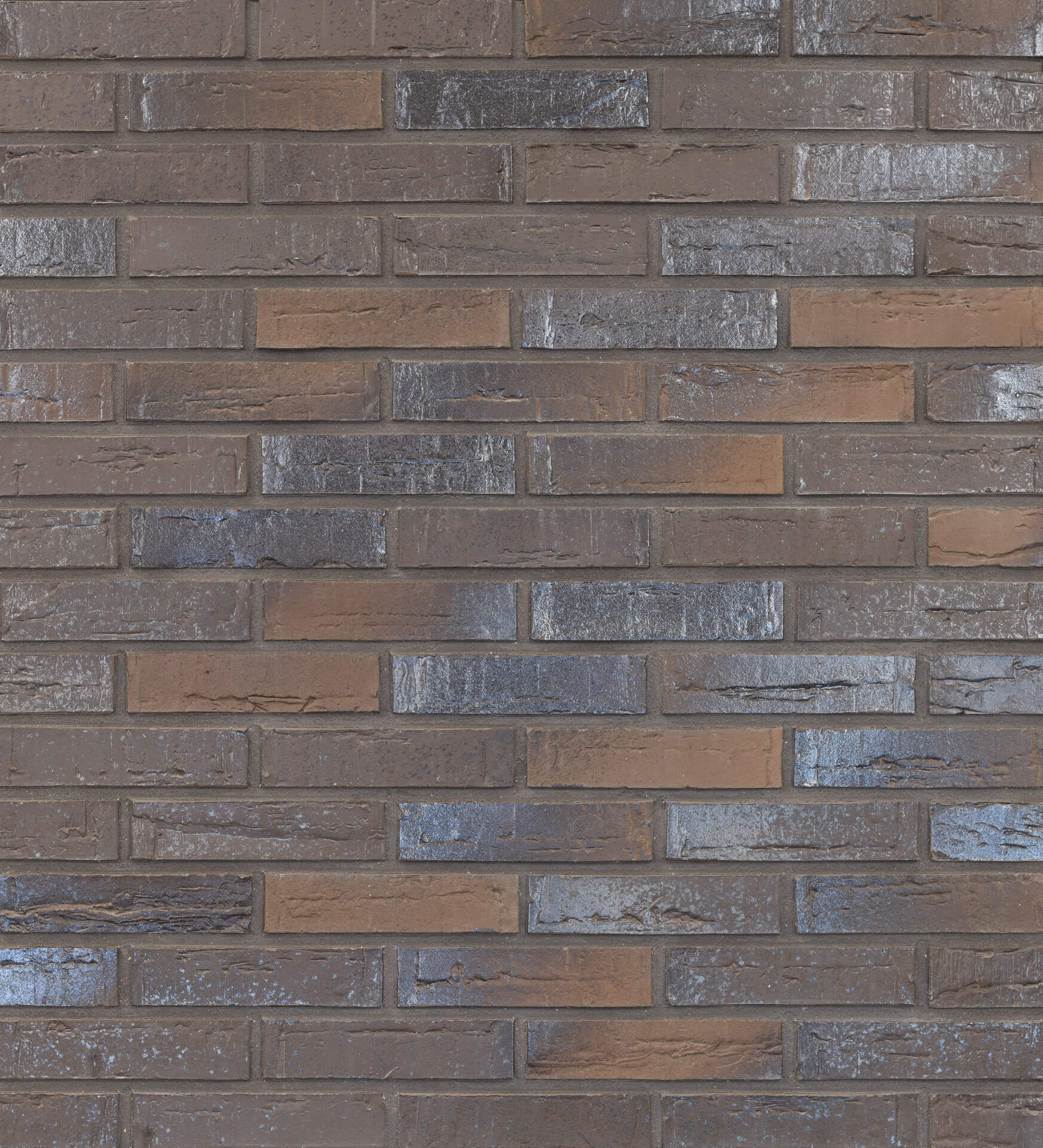 WF VTS Zwart Glanzend 50